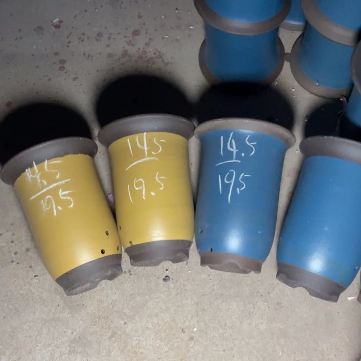 周三周四试试再说