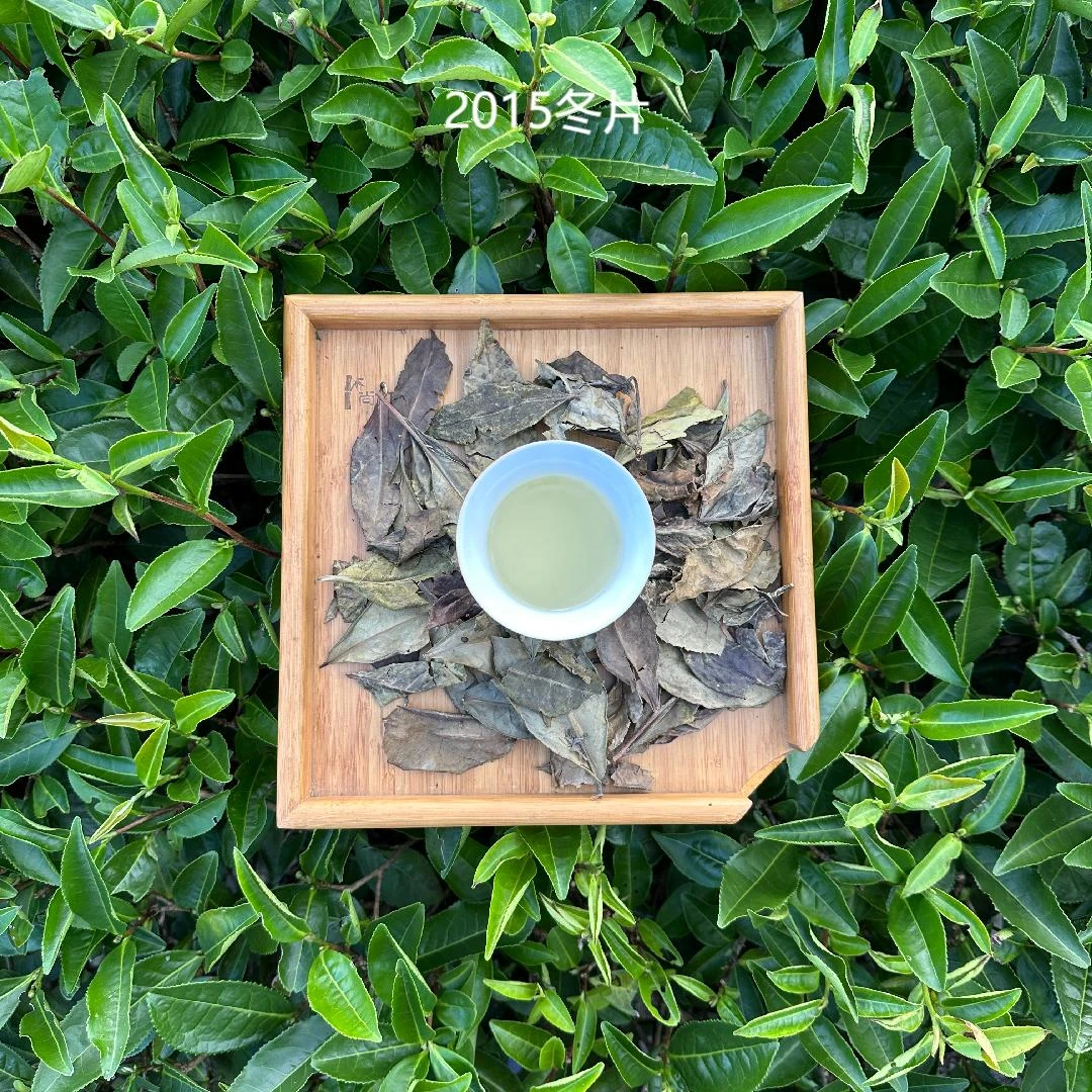 【霜降】2015年 霜降 寿眉 药香果甜 磻溪白茶
