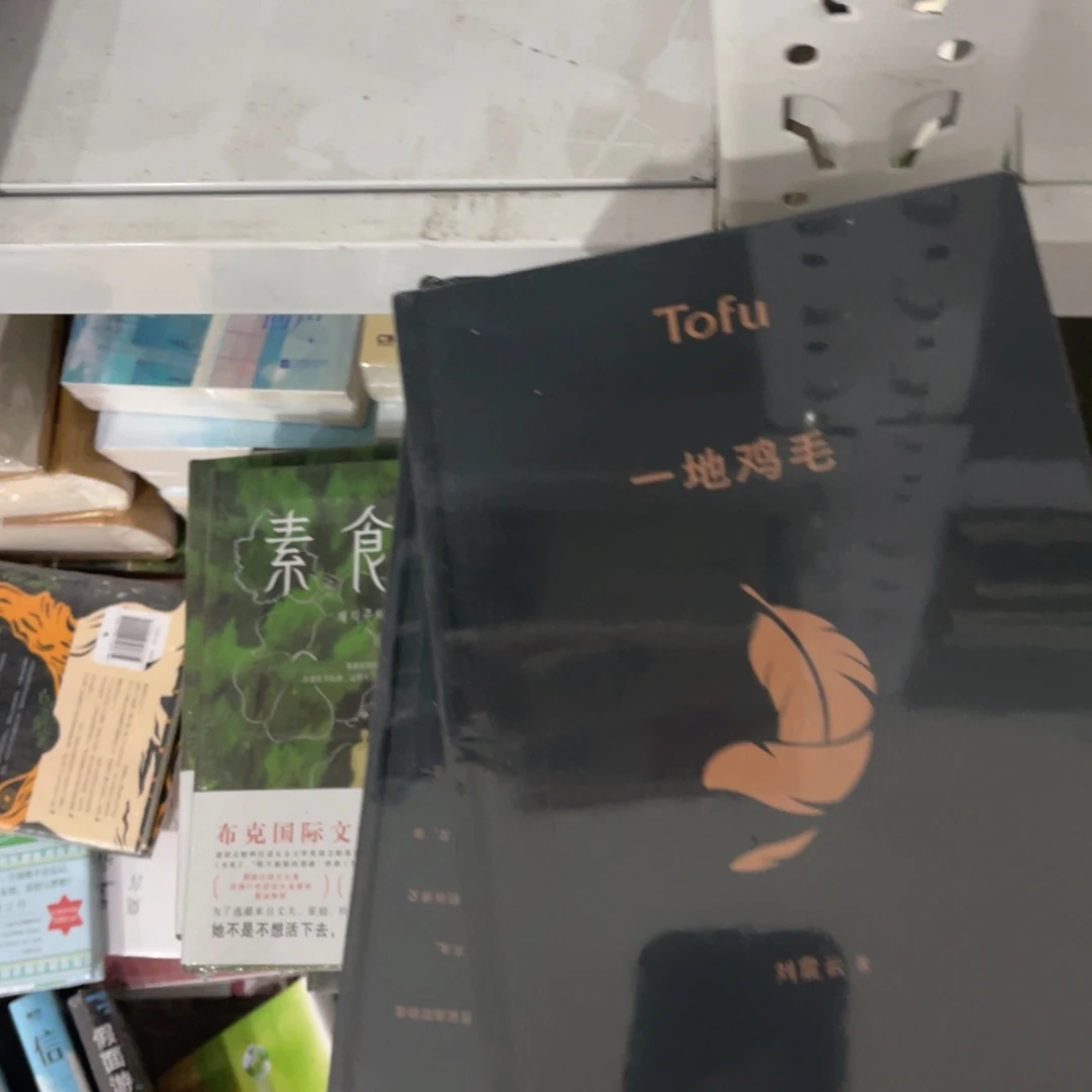 一地鸡毛精装一个