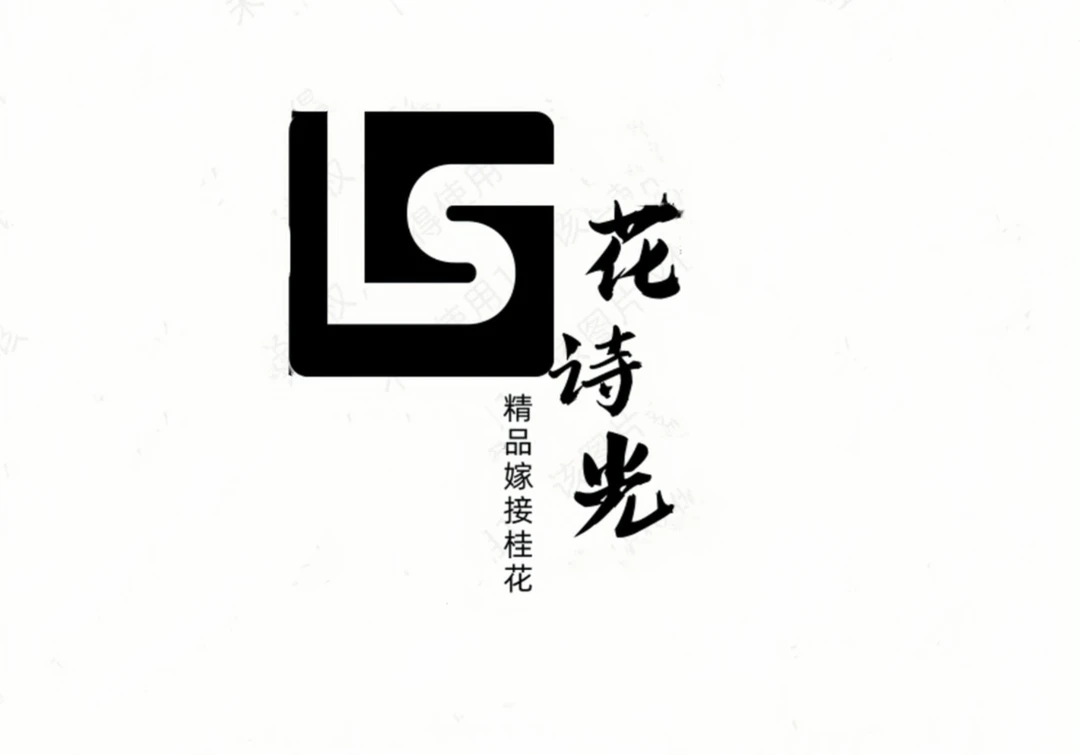 【花诗光花卉】直播间一物一拍(脱盆邮寄)