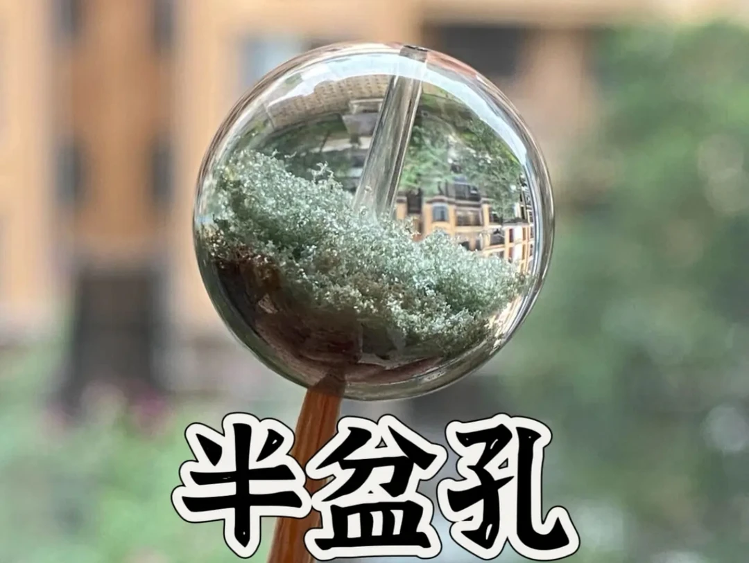水晶打孔下单拍这个（按颗算）