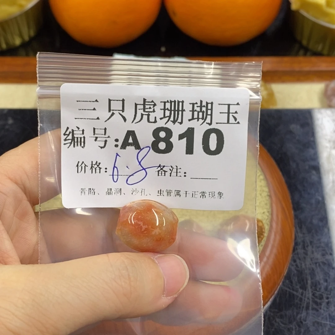 硅化珊瑚（珊瑚玉）1未镶嵌慧****1