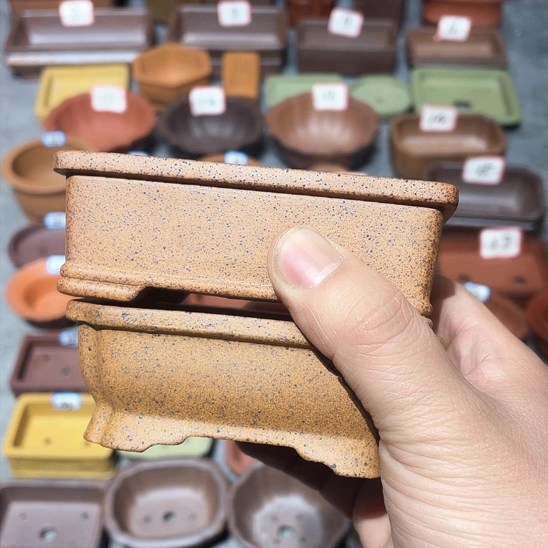 紫砂紫砂小盆2只