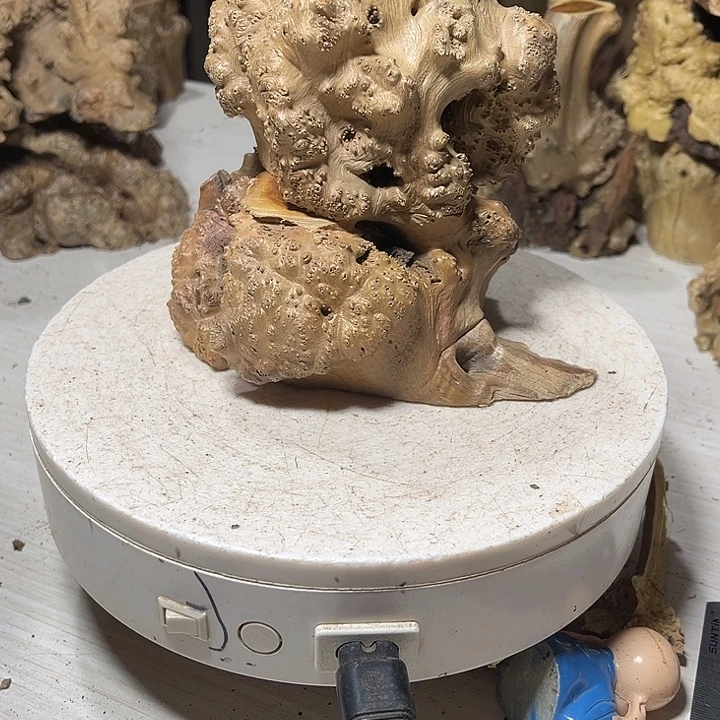 香榧木麻梨疙瘩等多种w