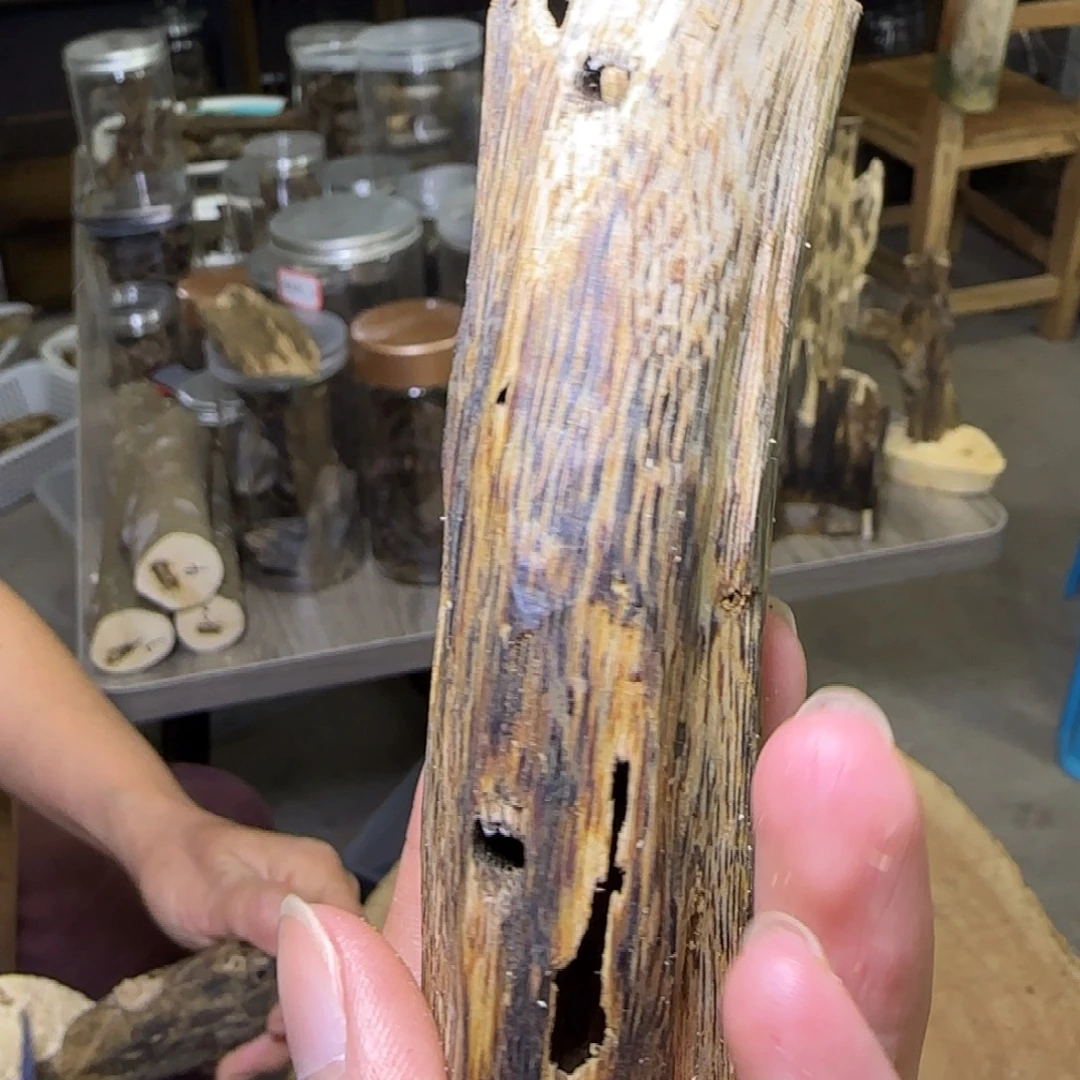 沉香绿奇虫漏手把发一份