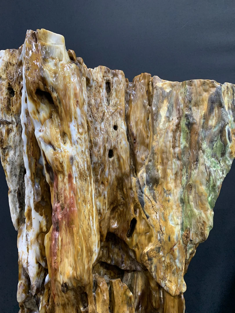 缅甸天然树化玉摆件6（硅化玉）