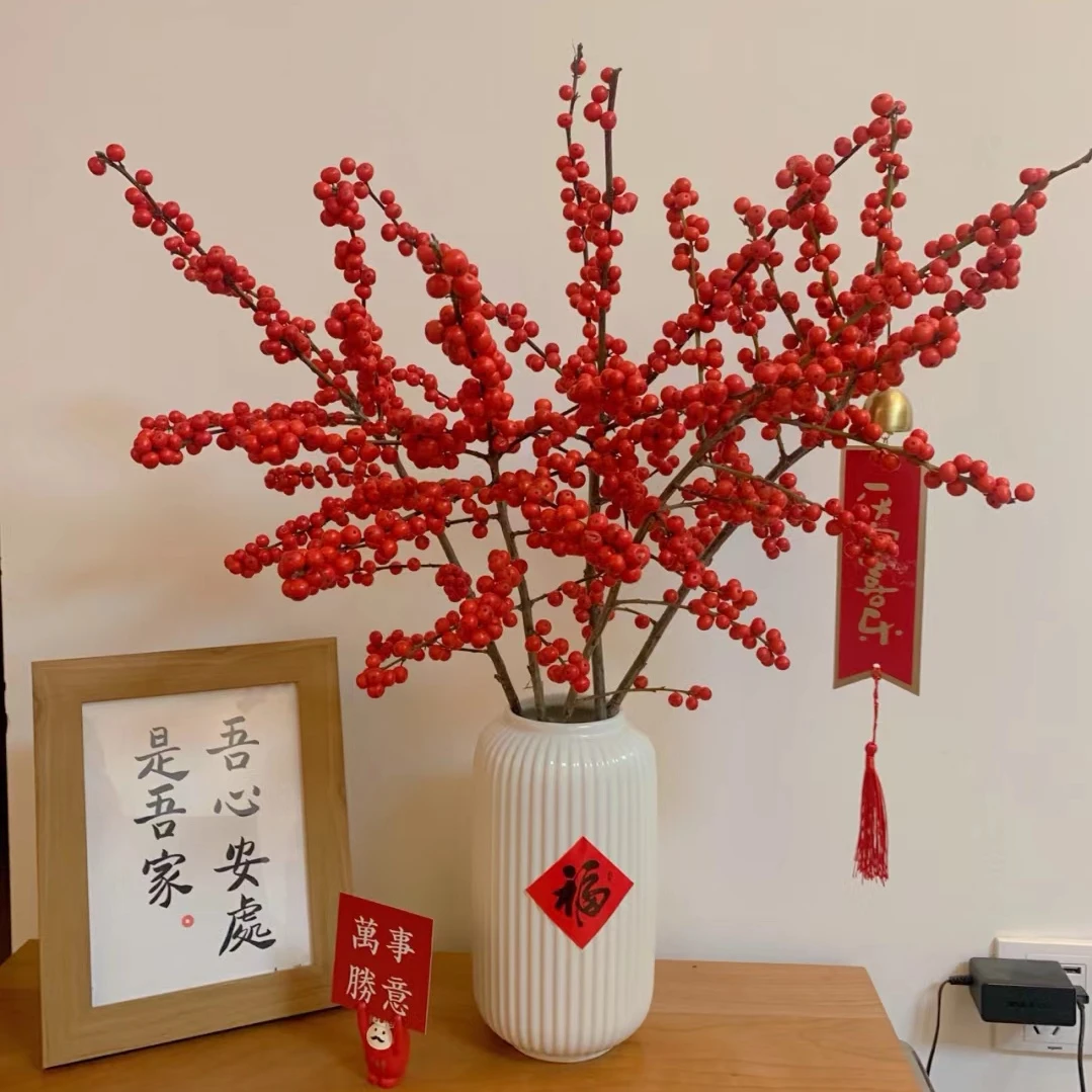 【大号冬青1枝 一枝独秀】1单中通2单顺丰云南鲜花水培春节氛围