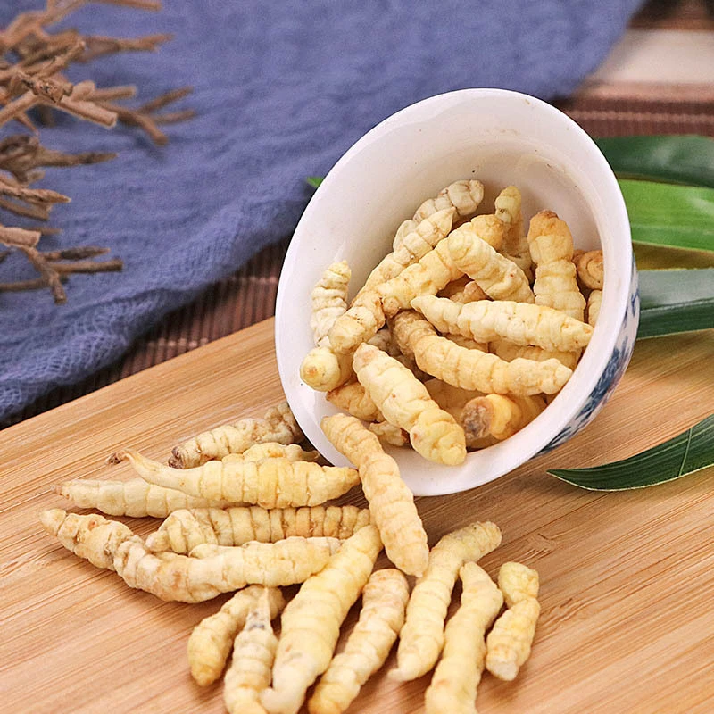 产地直销优选特产【白虫草】500g       小海走山村专属