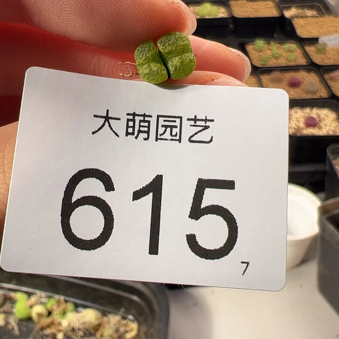 0000615 一物一拍。