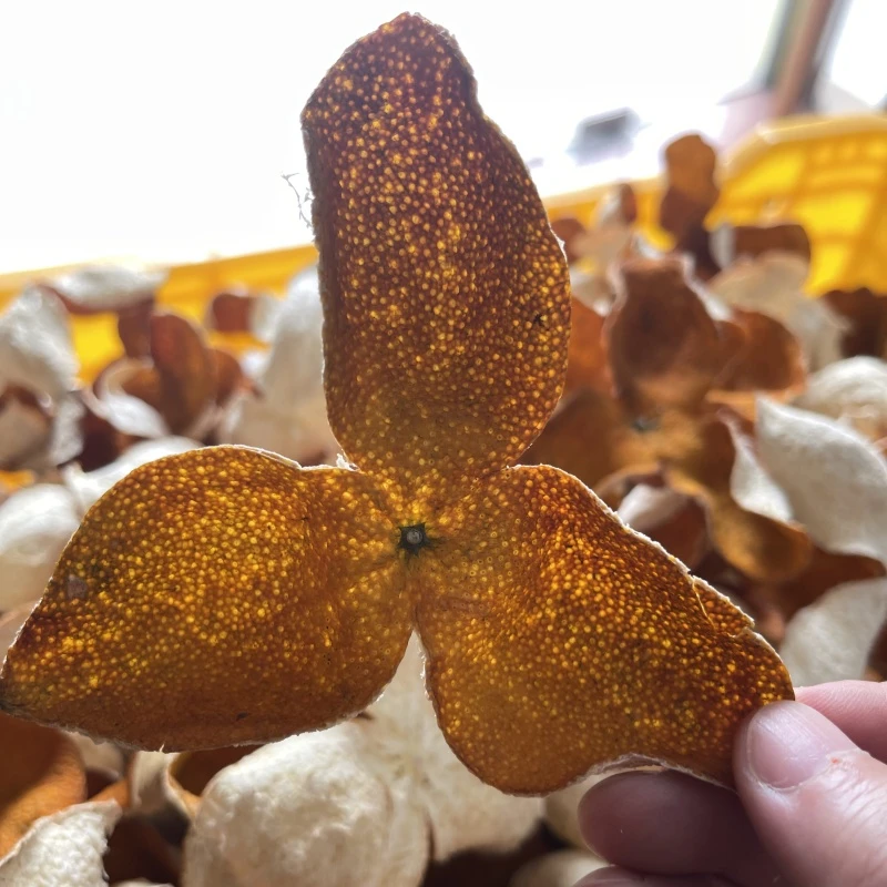 【梅江大红】2025新会陈皮 梅江大红皮驳枝老树