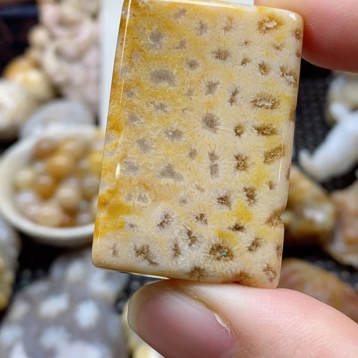 硅化珊瑚（珊瑚玉）颈饰未镶嵌7***j