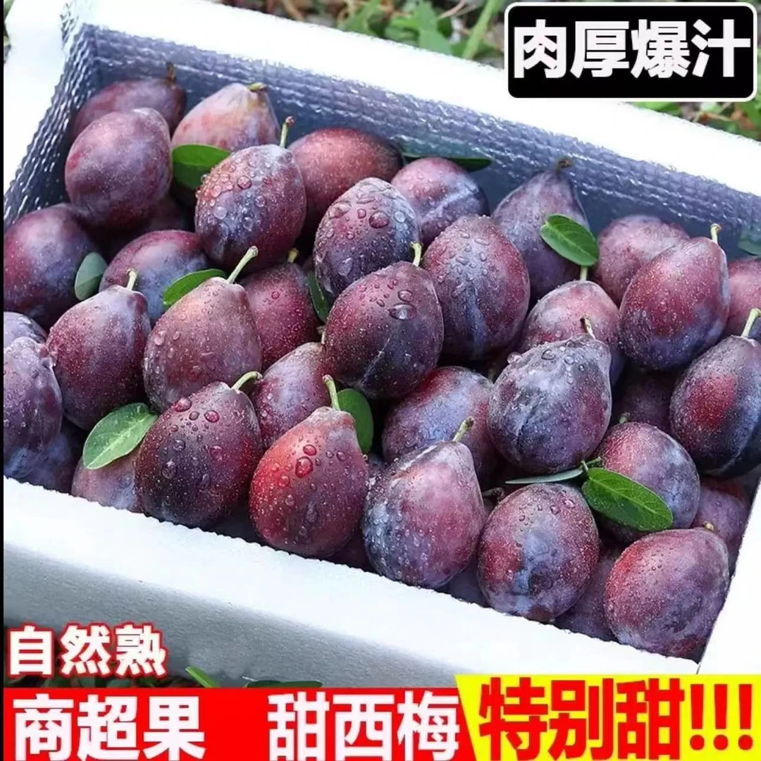 【顺丰包邮】智利西梅1/5斤装琥珀果肉 新鲜采摘甜蜜多汁孕妇水果