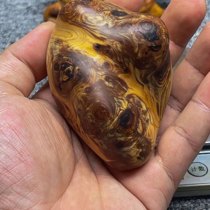 柏木（崖柏）崖柏121