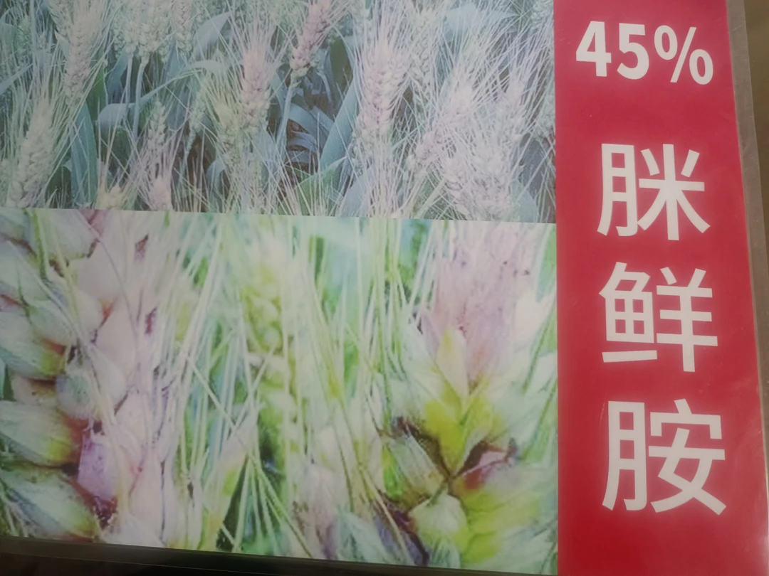 咪鲜胺小麦赤霉病专用品100g/瓶