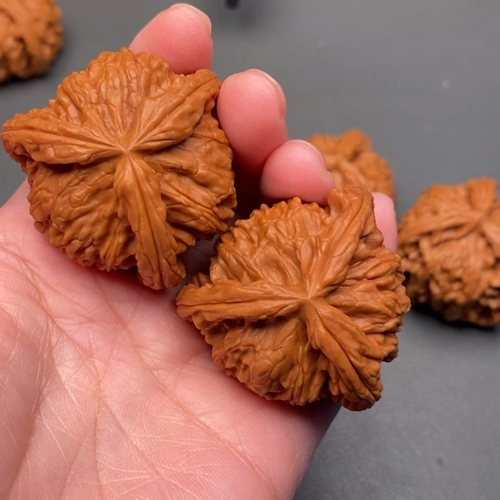 稚***寓木质类核桃核桃核桃