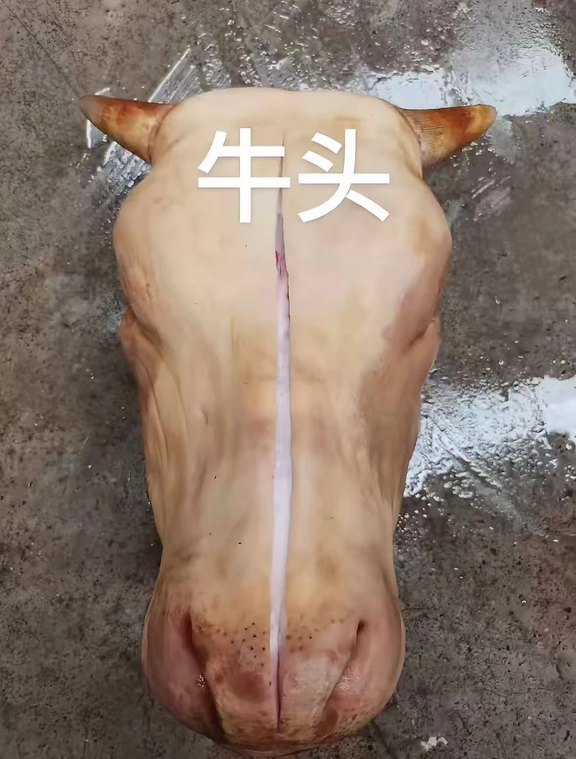 火烧去毛新鲜牛头速冻发货清真生鲜整只
