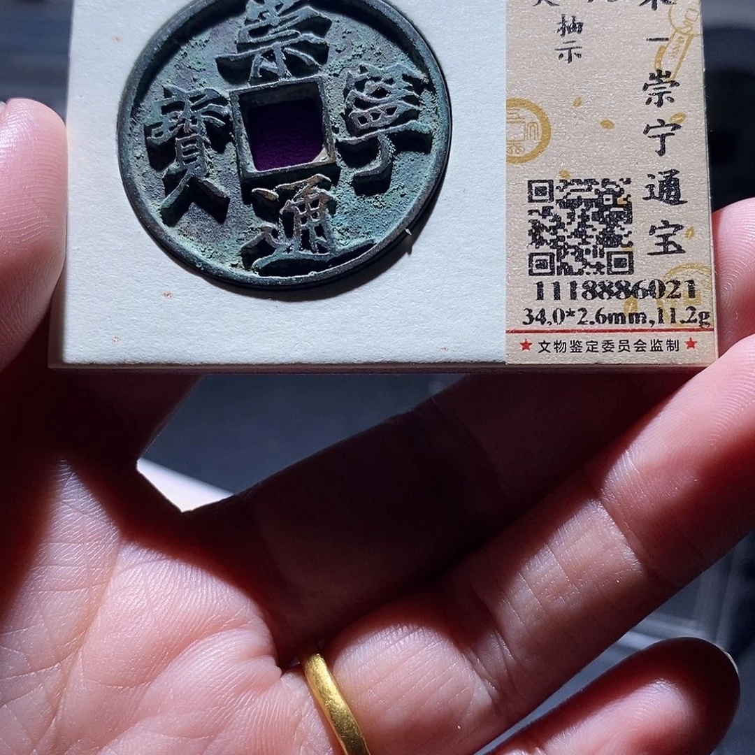 贝壳11 恭喜发财恭喜发财