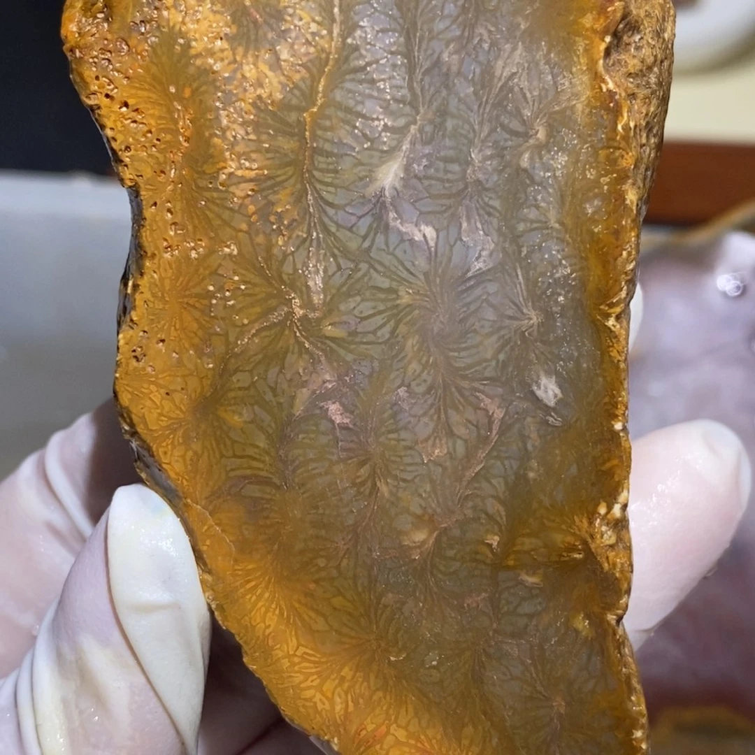 【闪购商品】未镶嵌珊瑚玉硅化玉