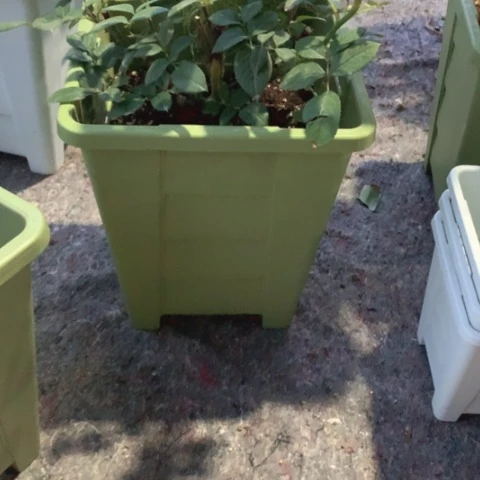 26绿方无托微瑕4个