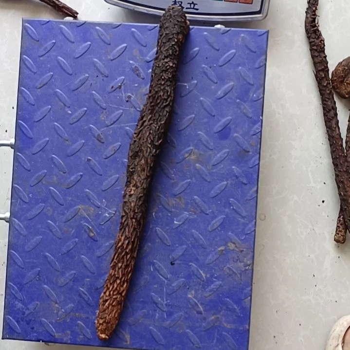 中国大陆从从容容