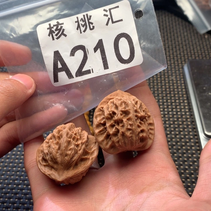文玩核桃吊坠野生