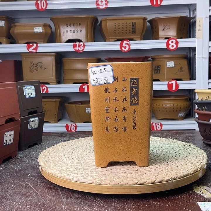 紫砂花盆蛇年大吉