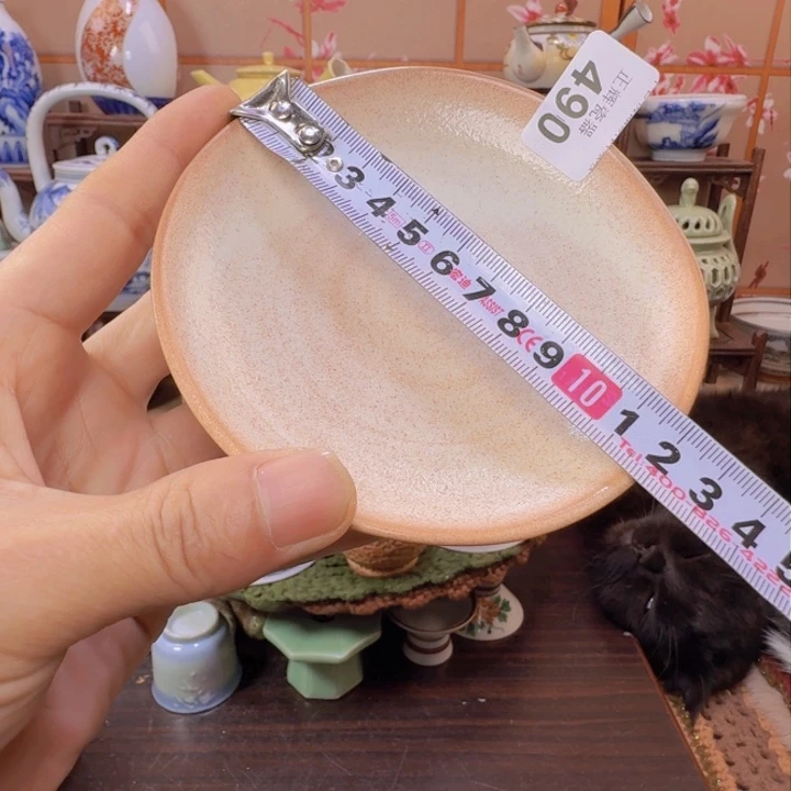 碗490啊啊啊啊啊啊啊啊啊啊啊啊