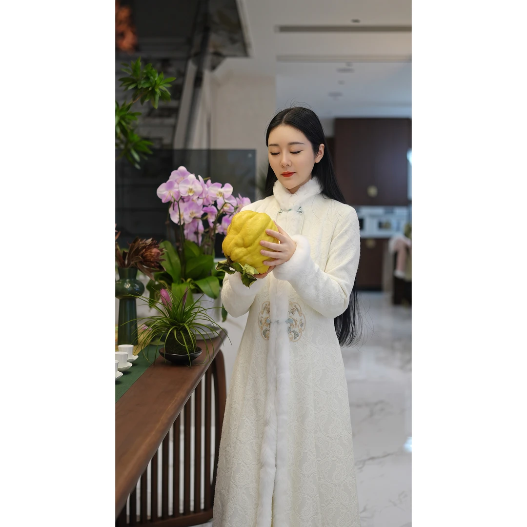 【宫墙雪】秋冬新中式国风纯色直襟复古百搭精致绣花保暖长款外套