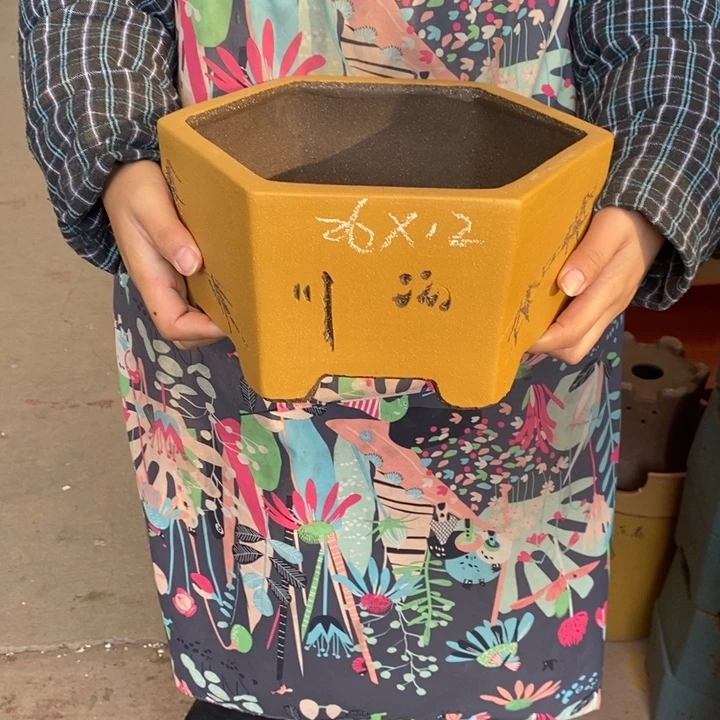 紫砂花盆只顾看手机的日子