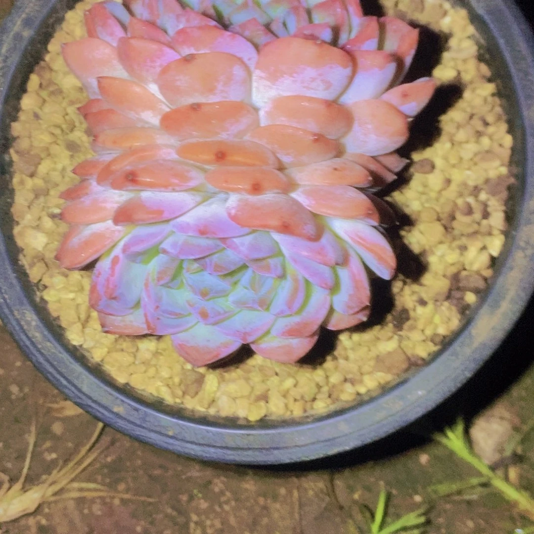 爱***灰颜色很好看很喜欢很好的衣服