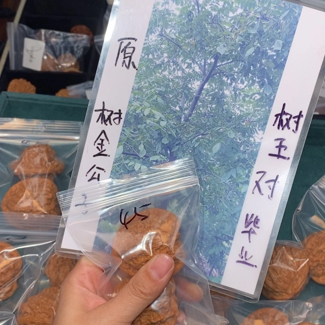 文玩核桃吊坠45原树金公子