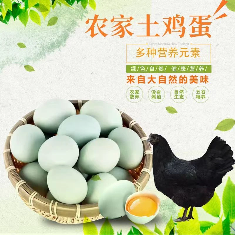 【到手50枚】园林圈养纯绿壳正宗乌鸡蛋现捡现发