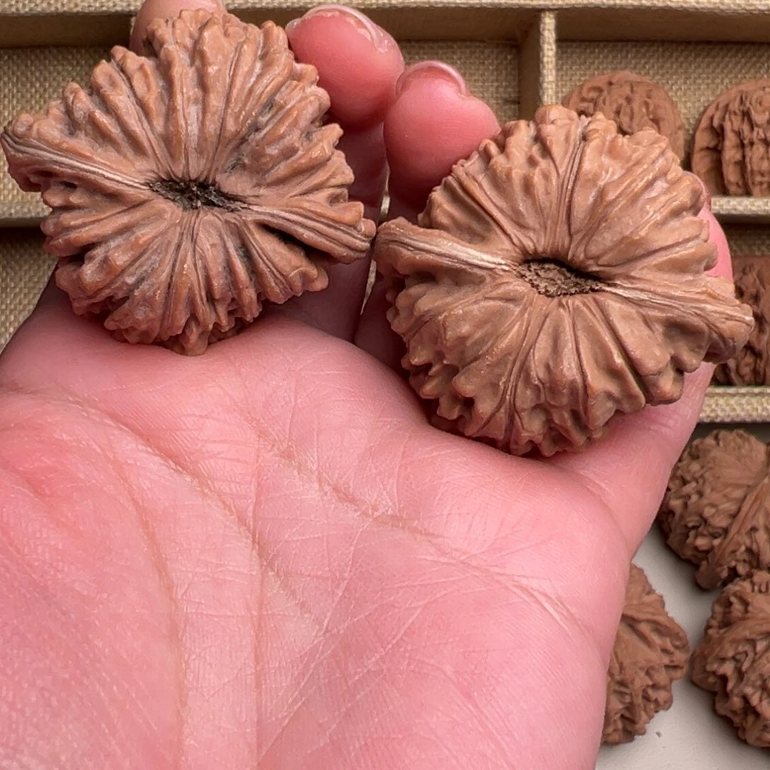 核桃把件X**z四座楼43尺