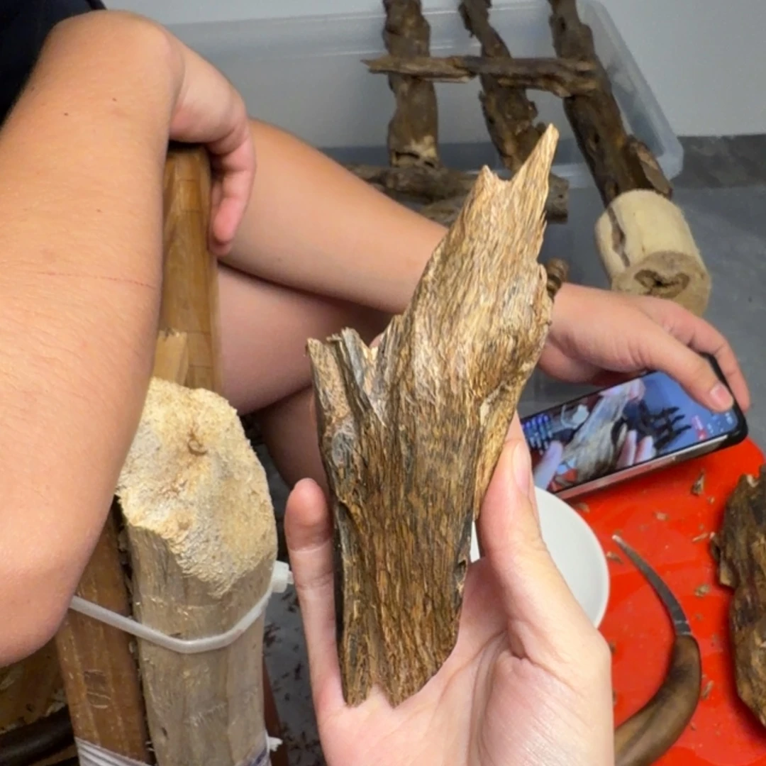 沉香沉香碎屑蓝宝石块料33克