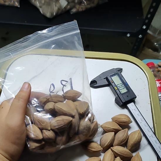 福***飞吊坠橄榄核散籽一包