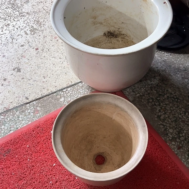 红陶某*。。。。。。。。。。。。。