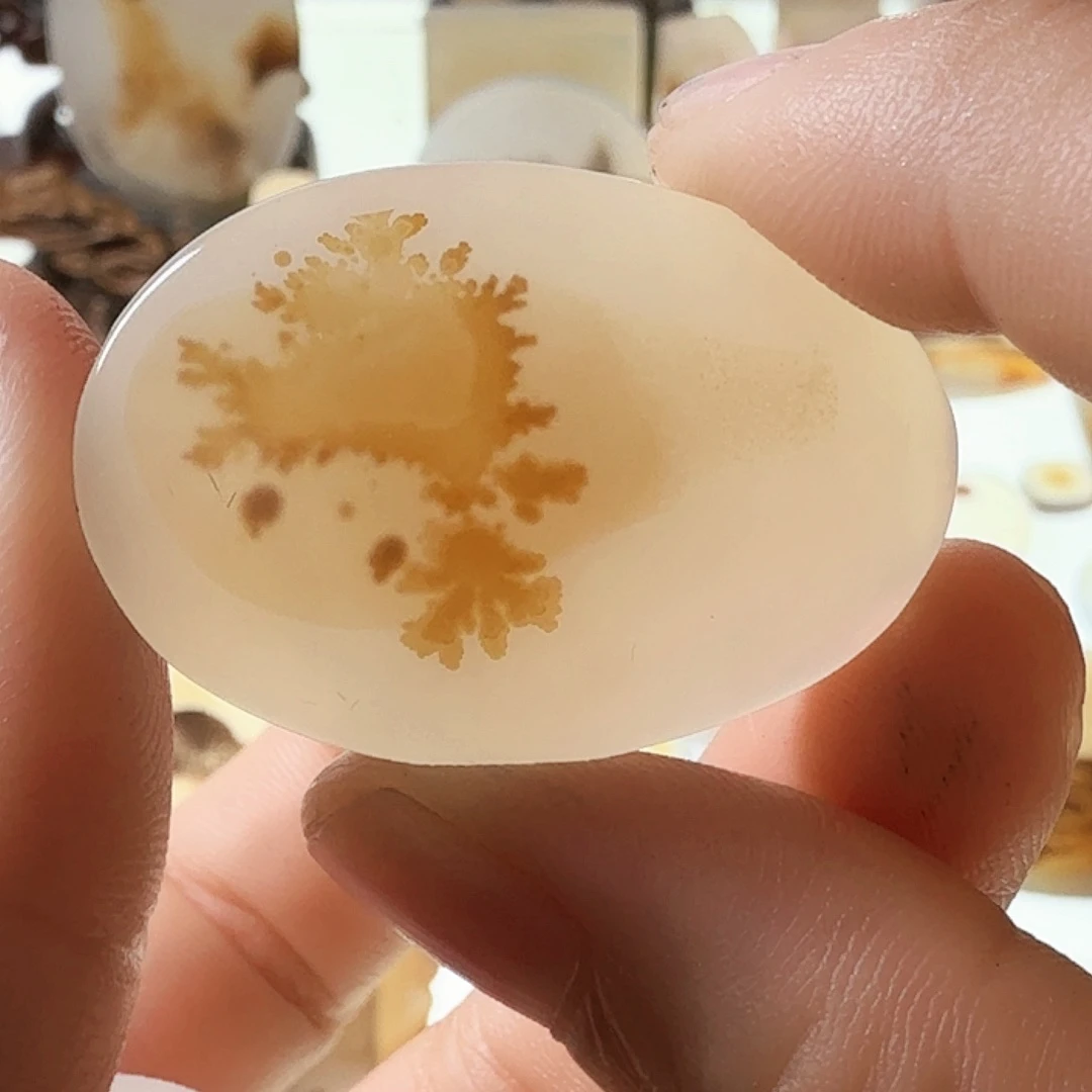赵***.未镶嵌玛瑙/玉髓珠宝半成品