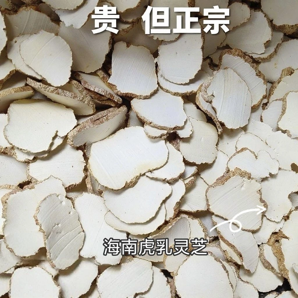 虎乳菌虎乳灵芝甄选优质大个菌核整颗手工切片试用装