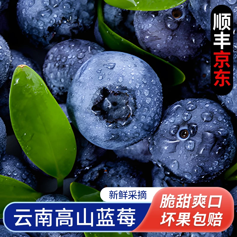 S2【顺丰京东】云南高山脆甜蓝莓鲜果新鲜水果当季整箱怡颗蓝梅大果