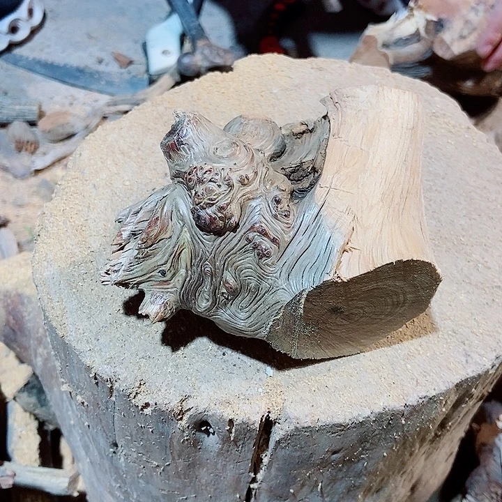 柏木百*竿太行山区柏木木木