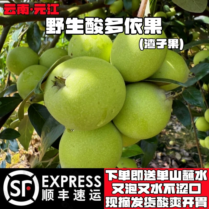 【顺丰快递】云南酸多依果元江野生渣子果新鲜水果嫁接多依果子包邮
