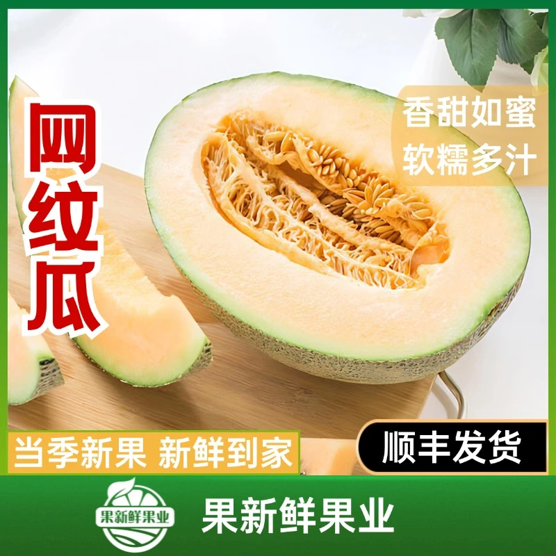 【玫珑瓜网纹瓜】（2粒 约4.5-5斤）香甜如蜜软糯多汁新鲜应季同城包邮送货上门