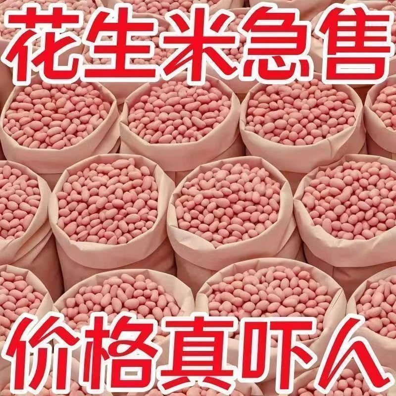 [批发价]新上市现脱壳东北阜新大白沙生花生米新鲜干货