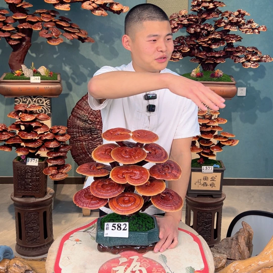 无花朵888888888889