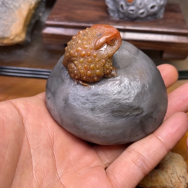 老挝石赵11111111111111111111