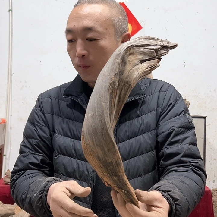 柏木感*我们的生活是以自己