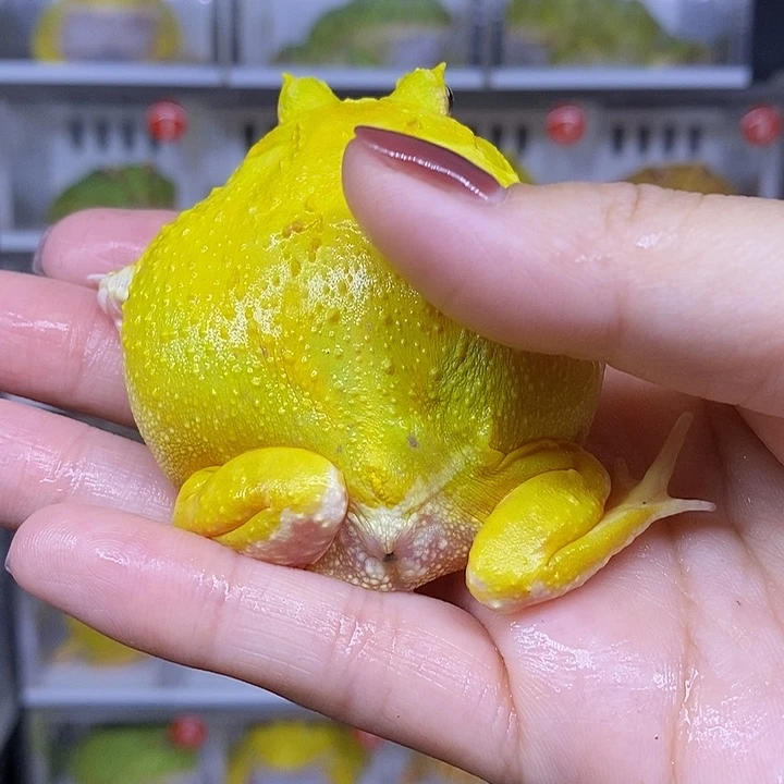 特价秒杀现货供应