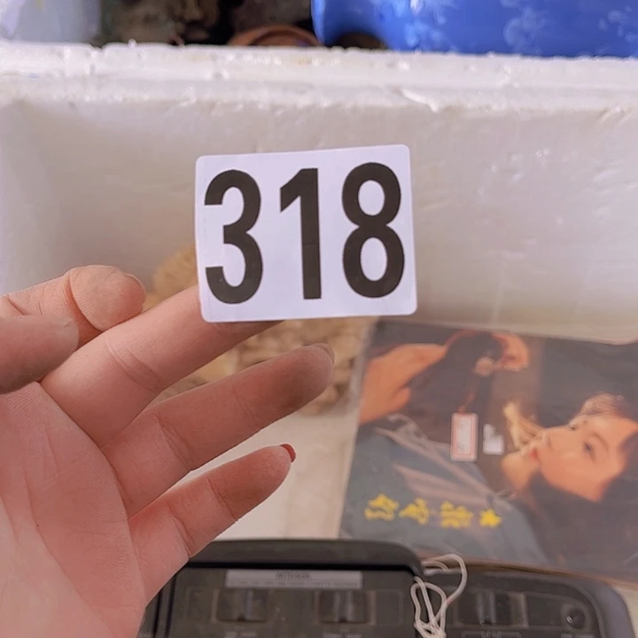 无***笑86596556665555555555