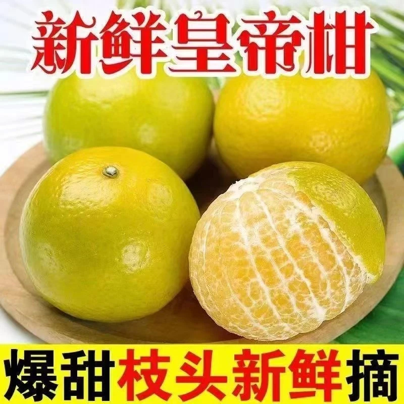 正宗广西皇帝柑新鲜水果爆汁清甜贡柑橘蜜桔当季橘子薄皮桔子