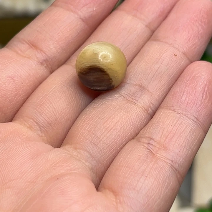 硅胶合金天然保真